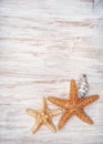 Seashells on the old shabby chic wood background