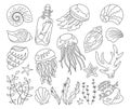 Seashells outline doodle set ocean marine coral message mollusk seaweed conch jellyfish vector Royalty Free Stock Photo