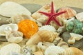 Seashells,pearl, starfish on sand details of under water world