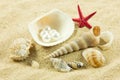 Seashells,pearl, starfish on sand details of under water world