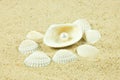 Seashells,pearl, starfish on sand details of under water world Royalty Free Stock Photo