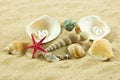 Seashells,pearl, starfish on sand holiday Royalty Free Stock Photo