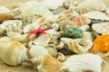 Seashells,pearl, starfish on sand holiday sea Royalty Free Stock Photo