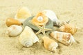 Seashells,pearl, starfish on sand holiday sea Royalty Free Stock Photo