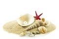 Seashells,pearl, starfish on sand holiday sea Royalty Free Stock Photo