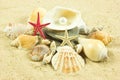 Seashells,pearl, starfish on sand holidays