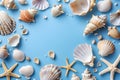 Seashells, pebbles, mockup on blue background. Blank, top view, still life, flat lay. Sea vacation travel concept Royalty Free Stock Photo