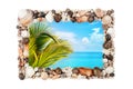 Seashells photo frame white background isolated closeup, sea shells picture border, summer beach holiday, exotic tropical island Royalty Free Stock Photo