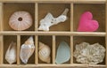 Seashells and Pink Heart Royalty Free Stock Photo