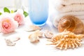 Seashells, pink roses and bath towels Royalty Free Stock Photo