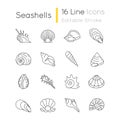 Seashells pixel perfect linear icons set Royalty Free Stock Photo