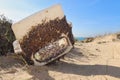 Seashells on plastic chair washed up on a beach