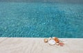 Seashells on a pool deck Royalty Free Stock Photo