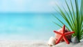 Seashells, red starfish and palm leaf on the white sand with blurred beach ocean sea background Royalty Free Stock Photo