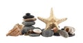 Seashells, rocks and starfish Royalty Free Stock Photo