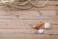 Seashells and rope on plain wooden boards