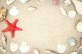 Seashells sand beach summer background Royalty Free Stock Photo