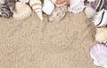 Seashells and Sand Border