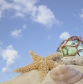 Seashells on sand with glass ball Royalty Free Stock Photo