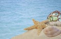 Seashells on sand with glass ball with blue water