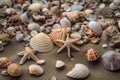 seashells, sand, and starfish on the beach Royalty Free Stock Photo