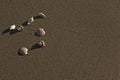 Seashells on sandy beach Royalty Free Stock Photo