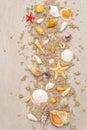 Seashells sandy summer background. Lots of different seashells piled together Royalty Free Stock Photo