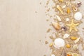 Seashells sandy summer background. Lots of different seashells piled together Royalty Free Stock Photo