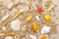 Seashells sandy summer background. Lots of different seashells piled together Royalty Free Stock Photo