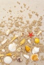 Seashells sandy summer background. Lots of different seashells piled together Royalty Free Stock Photo