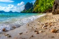 Seashells scattered along a pristine sandy beach with gentle waves lapping by under a bright sky and lush green cliffs in the Royalty Free Stock Photo