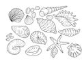 Seashells sea beach summer illustration hand drawn big set isolated elements on white Royalty Free Stock Photo