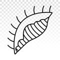 Seashells / sea snail line art vector icon for apps and websites