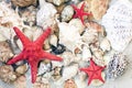 Seashells, sea stars, coral and stones on the sand, summer beach background travel concept with copy space for text Royalty Free Stock Photo