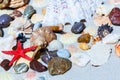 Seashells, sea stars, coral and stones on the sand, summer beach background travel concept with copy space for text Royalty Free Stock Photo