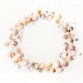 Seashells and sea stones round frame isolatred on white background. Royalty Free Stock Photo