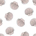 Seashells seamless pattern. Hand drawn marine illustrations of seashells