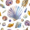 Seashells seamless pattern on a white background, watercolor Royalty Free Stock Photo