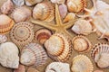 Seashells and seastar on the sand Royalty Free Stock Photo