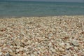 Seashells and seastar on the sand of a beach Royalty Free Stock Photo