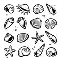 Seashells set. Collection seashells icons. Vector