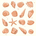 Seashells set. Vector Royalty Free Stock Photo