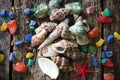 Seashells, shell, clams with colored stones on a wooden