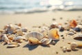 Seashells shells laying on sand sea beach tropical sanded seashore sandy seacoast blue waves backdrop beauty calm