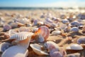 Seashells shells laying on sand sea beach tropical sanded seashore sandy seacoast blue waves backdrop beauty calm