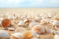 Seashells shells laying on sand sea beach tropical sanded seashore sandy seacoast blue waves backdrop beauty calm Royalty Free Stock Photo