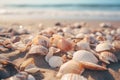 Seashells shells laying on sand sea beach tropical sanded seashore sandy seacoast blue waves backdrop beauty calm Royalty Free Stock Photo