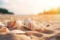 Seashells shells laying on white sand sea beach tropical sanded seashore sandy seacoast backdrop beauty calm tranquil