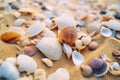 Seashells shells laying on white sand sea beach tropical sanded seashore sandy seacoast backdrop beauty calm tranquil