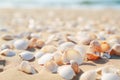 Seashells shells laying on white sand sea beach tropical sanded seashore sandy seacoast backdrop beauty calm tranquil Royalty Free Stock Photo